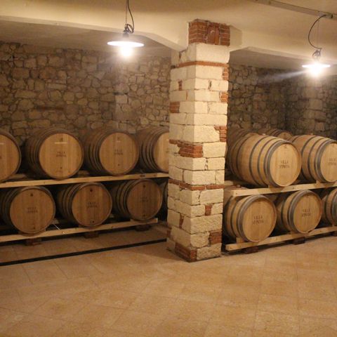 NEW BARRELS FOR THE WINE AGING PLACED IN THE CELLAR