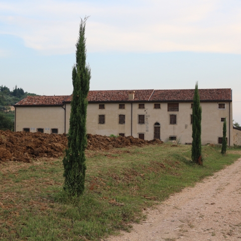 PIANOGRANDE: PLANTING A NEW VINEYARD