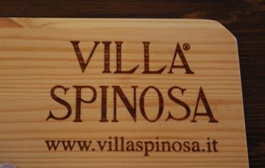 www.villaspinosa.it