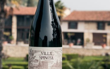 ’Etichetta Avorio’ Amarone della Valpolicella Classico DOC