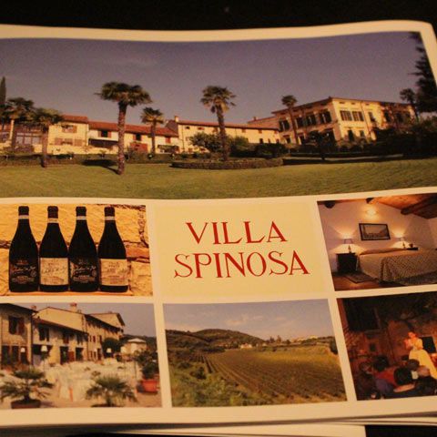 Villa Spinosa